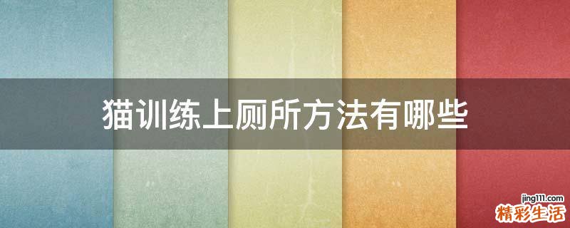 猫训练上厕所方法有哪些