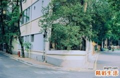 4 让你“青春不开溜”的好习惯