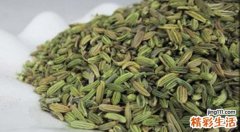 茴香粉加米醋治狐臭吗