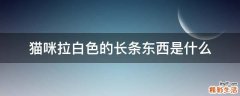 猫咪拉白色的长条东西是什么