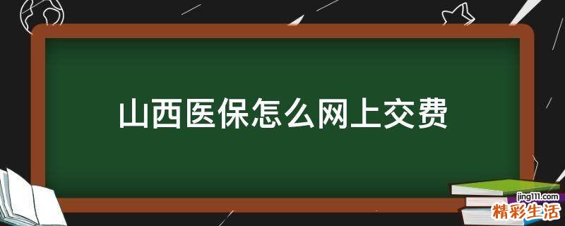 山西医保怎么网上交费