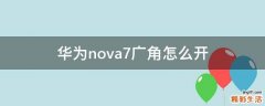 华为nova7广角怎么开
