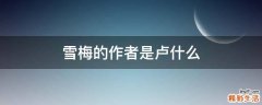雪梅的作者是卢什么