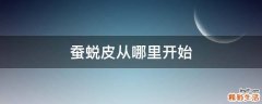 蚕蜕皮从哪里开始