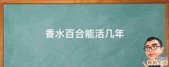 香水百合能活几年