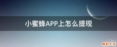 小蜜蜂APP上怎么提现