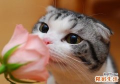 荨麻疹传染吗