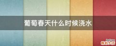 葡萄春天什么时候浇水