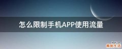 怎么限制手机APP使用流量