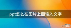 ppt怎么在图片上面输入文字