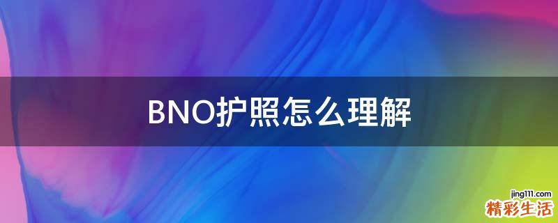 BNO护照怎么理解