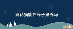 狸花猫能在笼子里养吗