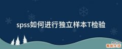 spss如何进行独立样本T检验