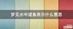 梦见水中逮鱼表示什么意思