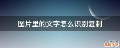 图片里的文字怎么识别复制
