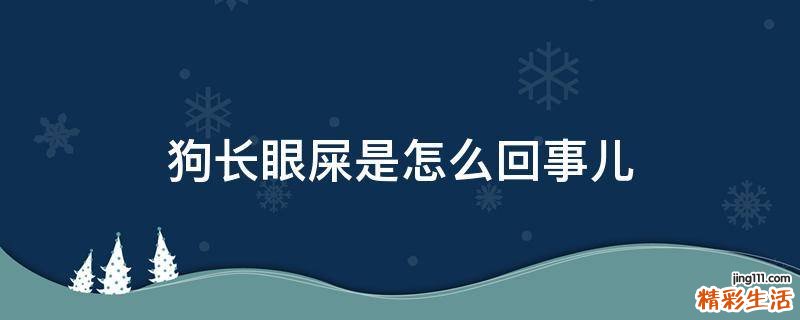 狗长眼屎是怎么回事儿