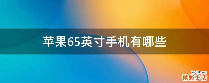 苹果6.5英寸手机有哪些