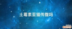 土霉素至猫传腹吗