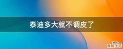 泰迪多大就不调皮了