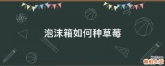 泡沫箱如何种草莓