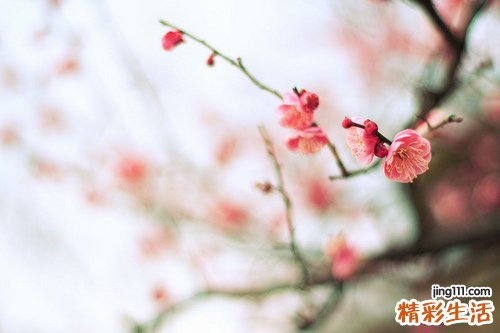 绝经后怎样保养
