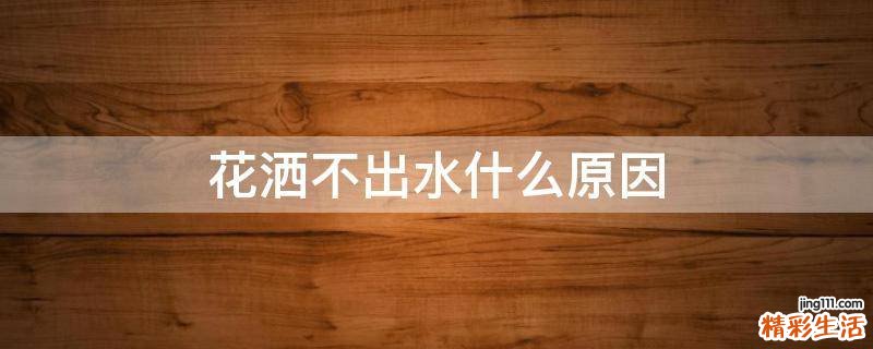 花洒不出水什么原因