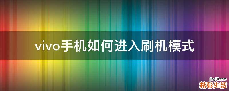 vivo手机如何进入刷机模式