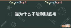 猫为什么不能剃脚底毛