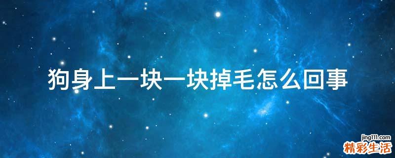 狗身上一块一块掉毛怎么回事
