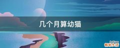 几个月算幼猫