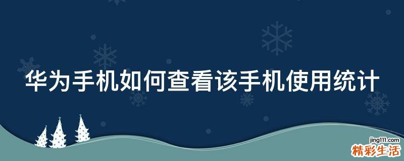 华为手机如何查看该手机使用统计