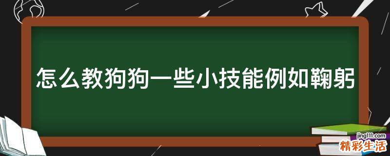 怎么教狗狗一些小技能例如鞠躬