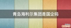 青岛海利尔集团是国企吗