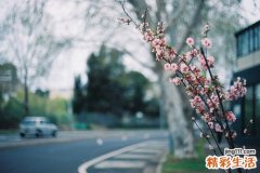 老人多吃什么对身体好