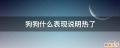 狗狗什么表现说明热了