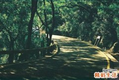 向你揭示绿茶的美容护肤功效