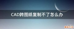 CAD跨图纸复制不了怎么办