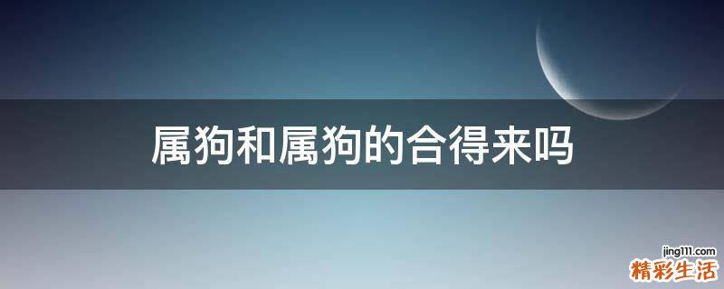 属狗和属狗的合得来吗