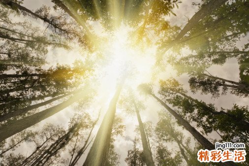 男士如何护肤_男士护肤攻略
