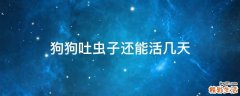 狗狗吐虫子还能活几天