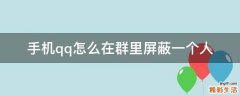 手机qq怎么在群里屏蔽一个人