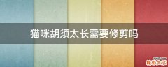 猫咪胡须太长需要修剪吗