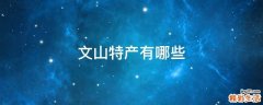 文山特产有哪些