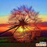 4 白天和夜晚护肤重点各不同