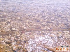 囊肿的处理