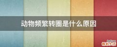 动物频繁转圈是什么原因