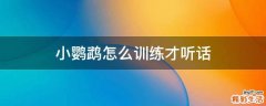 小鹦鹉怎么训练才听话