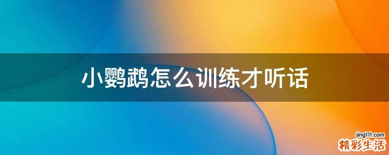 小鹦鹉怎么训练才听话