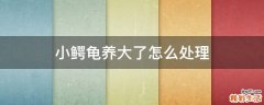 衸暄罅嗽趺创?