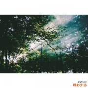 冬季补水缓解肌肤变态反映